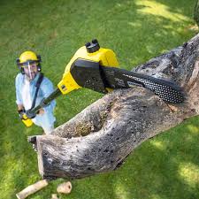 Mazomanie, WI Tree Removal and Landscaping Services Company